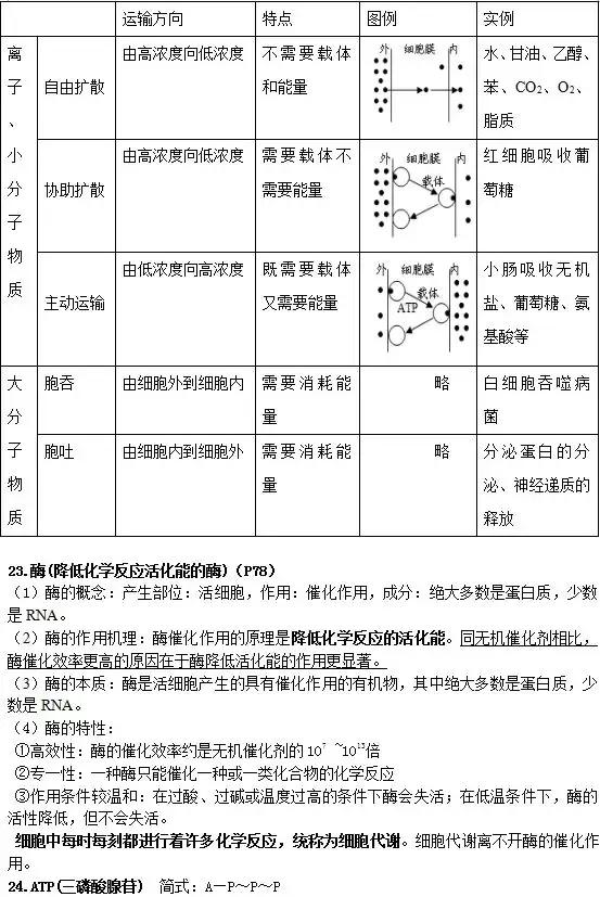 高中生物学业水平知识汇总——必修一