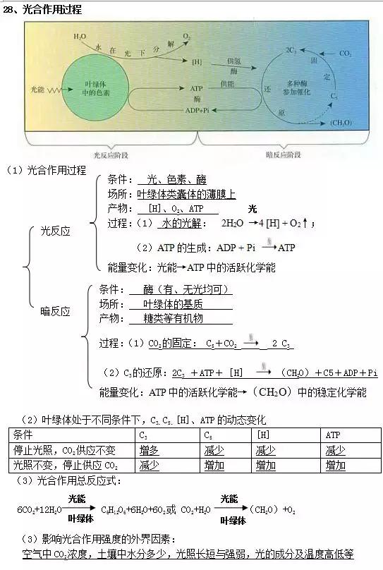 高中生物学业水平知识汇总——必修一