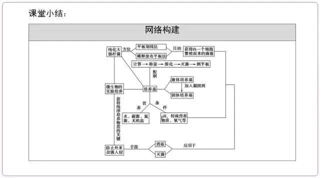 高中生物选修一微生物培养技术重点汇总，适合收藏！