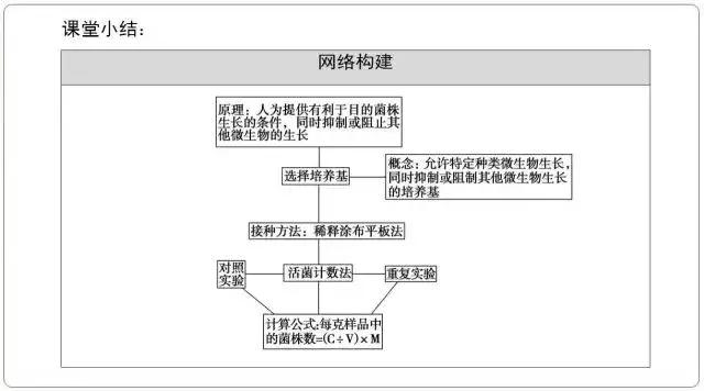 高中生物选修一微生物培养技术重点汇总，适合收藏！