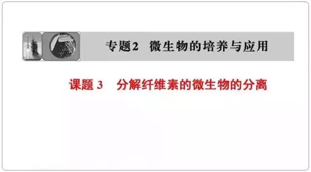 高中生物选修一微生物培养技术重点汇总，适合收藏！