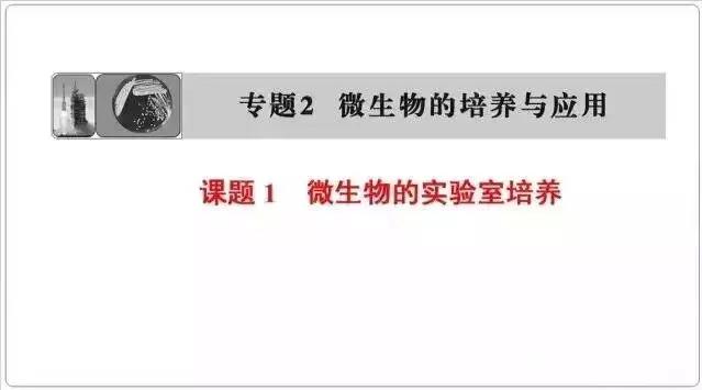 高中生物选修一微生物培养技术重点汇总，适合收藏！