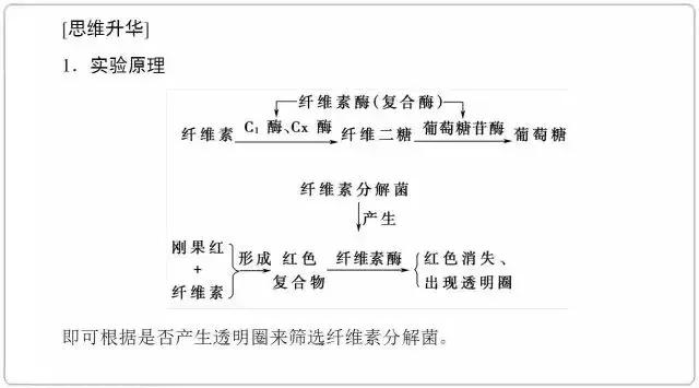 高中生物选修一微生物培养技术重点汇总，适合收藏！