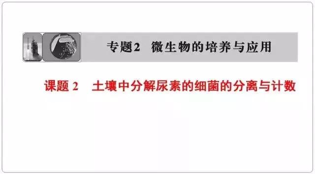 高中生物选修一微生物培养技术重点汇总，适合收藏！