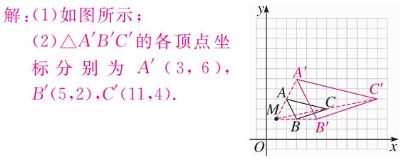 中考数学图形的相似专题训练