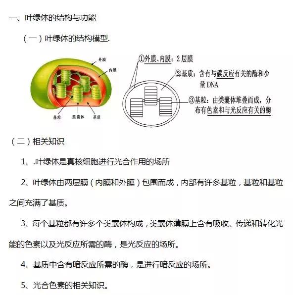 光合作用相关知识详细汇总，这份总结不容错过！