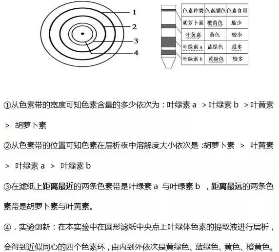 光合作用相关知识详细汇总，这份总结不容错过！