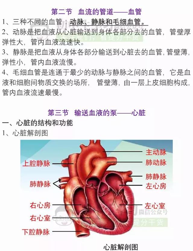 七年级生物下册重点知识汇总，备战期末考试！