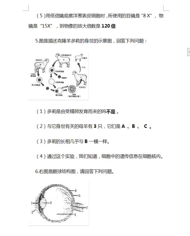 初中生物丨逢考必出的“识图填空题”，孩子吃透了，期末多考20分