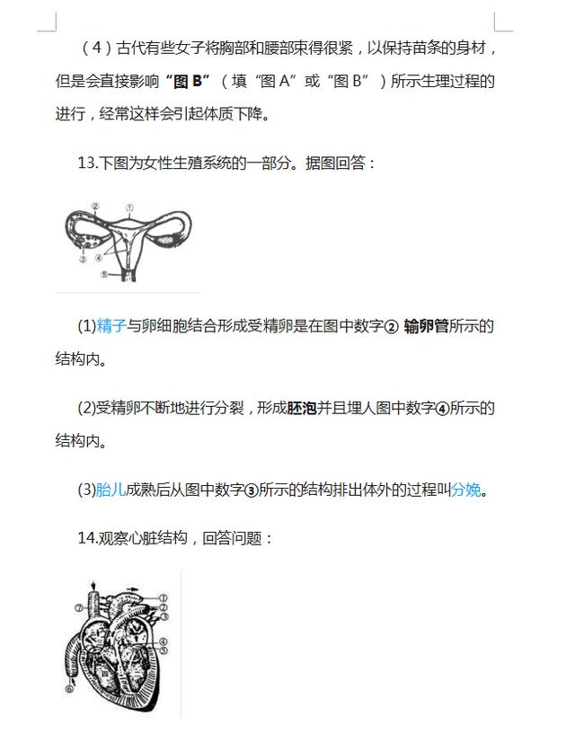 初中生物丨逢考必出的“识图填空题”，孩子吃透了，期末多考20分