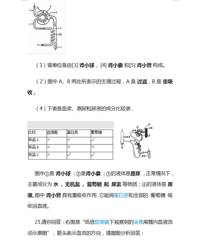 初中生物丨逢考必出的“识图填空题”，孩子吃透了，期末多考20分