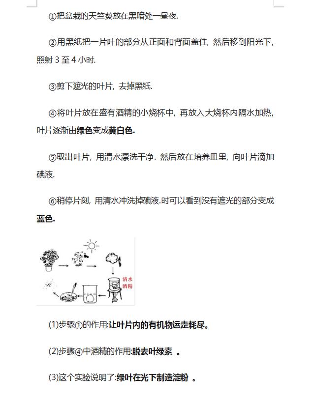 初中生物丨逢考必出的“识图填空题”，孩子吃透了，期末多考20分