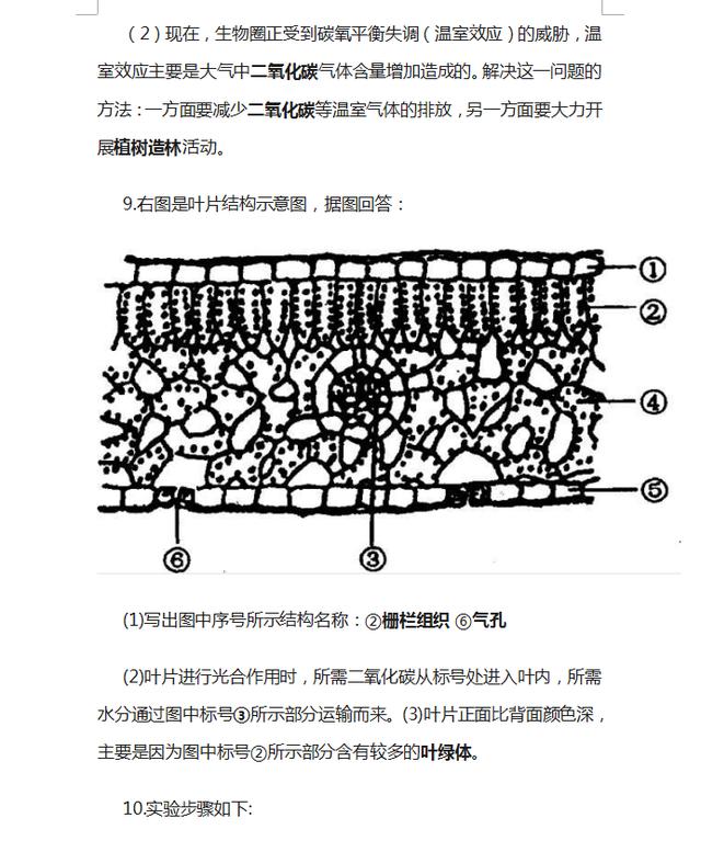 初中生物丨逢考必出的“识图填空题”，孩子吃透了，期末多考20分