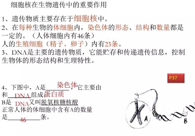 初中生物预习题纲，暑期打印出来看，新学期生物必定考100分！