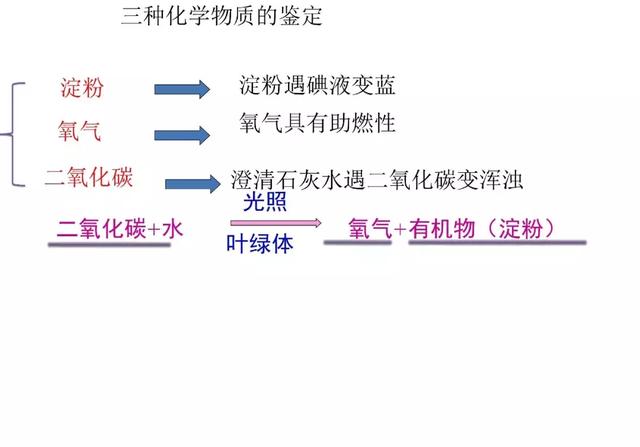 初中生物预习题纲，暑期打印出来看，新学期生物必定考100分！