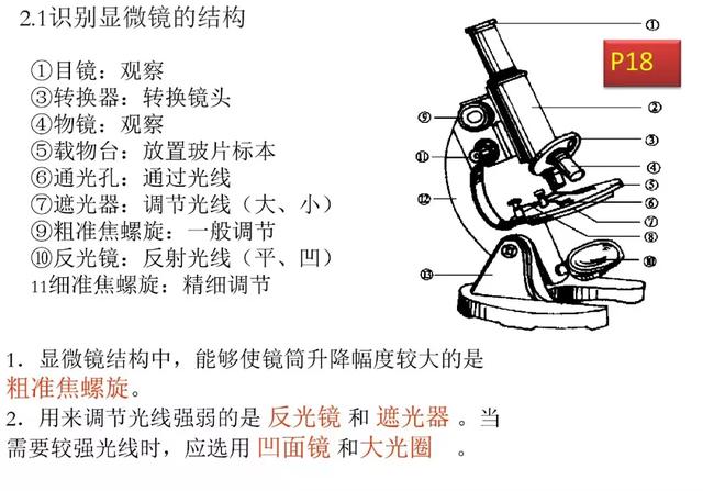 初中生物预习题纲，暑期打印出来看，新学期生物必定考100分！