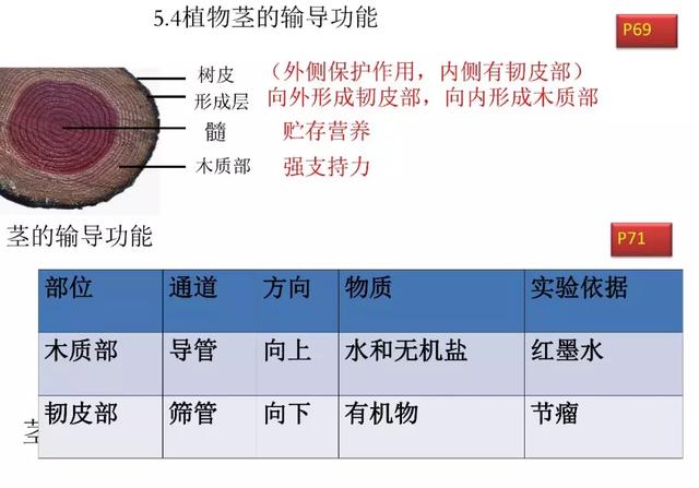 初中生物预习题纲，暑期打印出来看，新学期生物必定考100分！