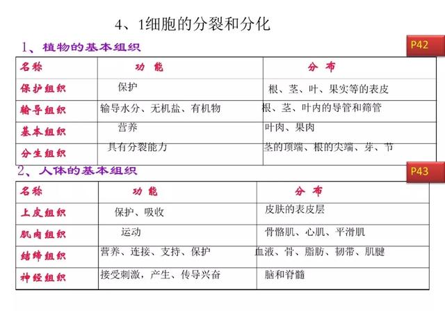 初中生物预习题纲，暑期打印出来看，新学期生物必定考100分！