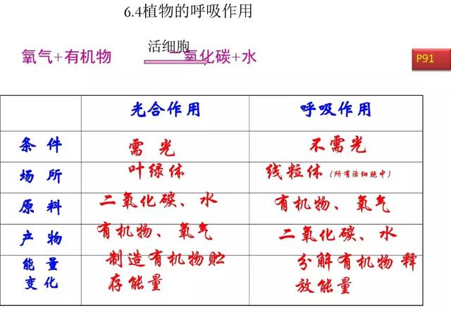 初中生物预习题纲，暑期打印出来看，新学期生物必定考100分！