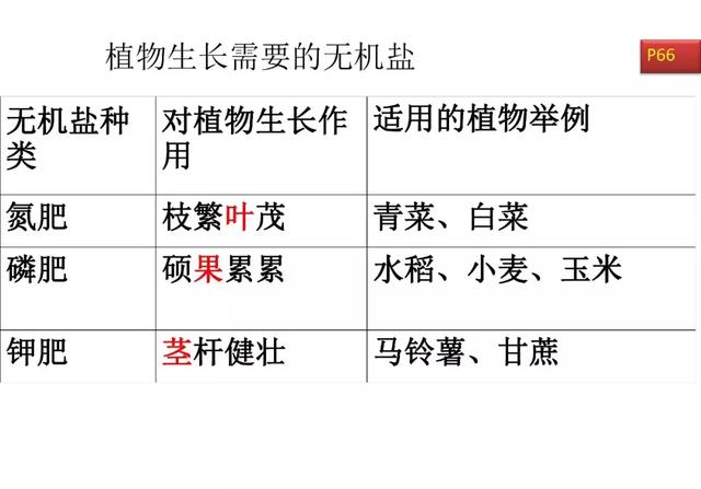 初中生物预习题纲，暑期打印出来看，新学期生物必定考100分！