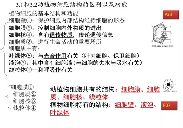 初中生物预习题纲，暑期打印出来看，新学期生物必定考100分！