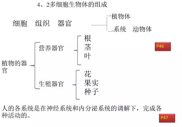 初中生物预习题纲，暑期打印出来看，新学期生物必定考100分！