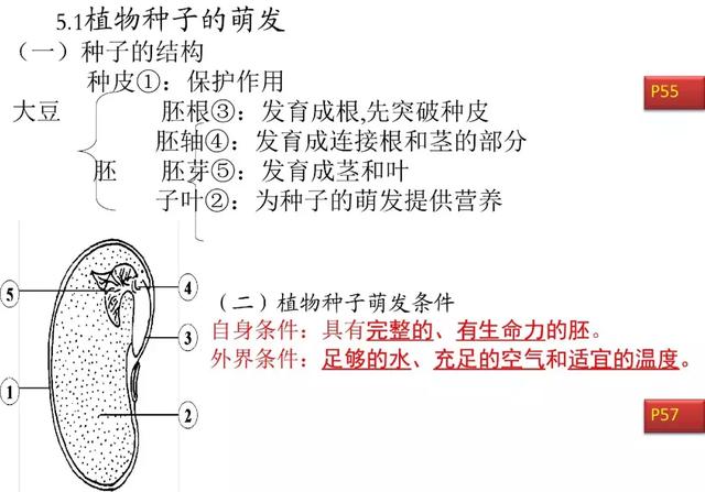 初中生物预习题纲，暑期打印出来看，新学期生物必定考100分！