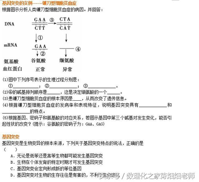 高中生物必修2——基因突变及其他变异——基因突变与基因重组