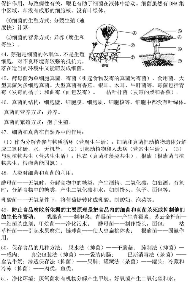八年级上册人口知识点总结