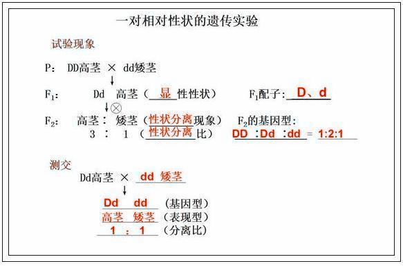 清华附中老师：最全高中生物高频考点大集合，“嚼碎”就能满分！