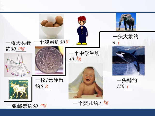 「初二物理」人教版，第六章《质量与密度》知识点详解，全套课件