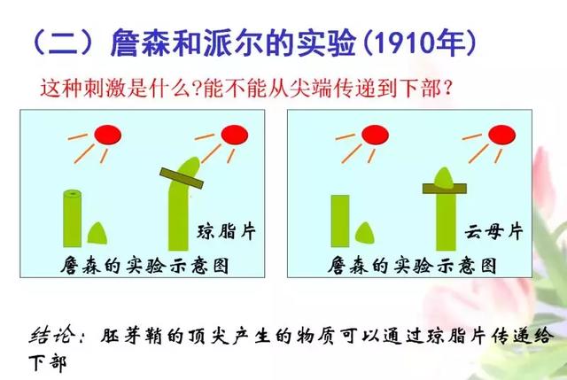 高二暑期预习，高中生物必修三课件