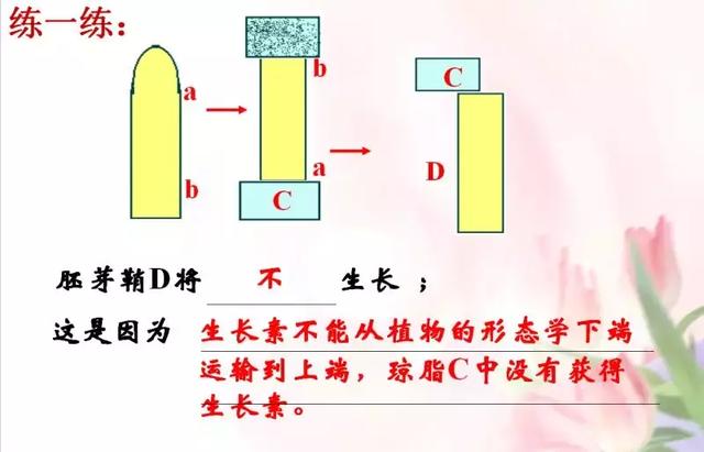 高二暑期预习，高中生物必修三课件