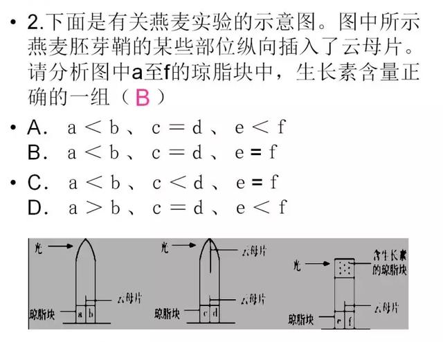 高二暑期预习，高中生物必修三课件