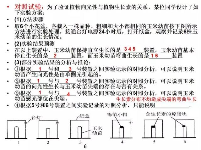 高二暑期预习，高中生物必修三课件