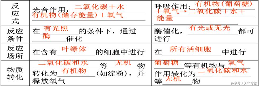 精心收集的初中生物知识要点