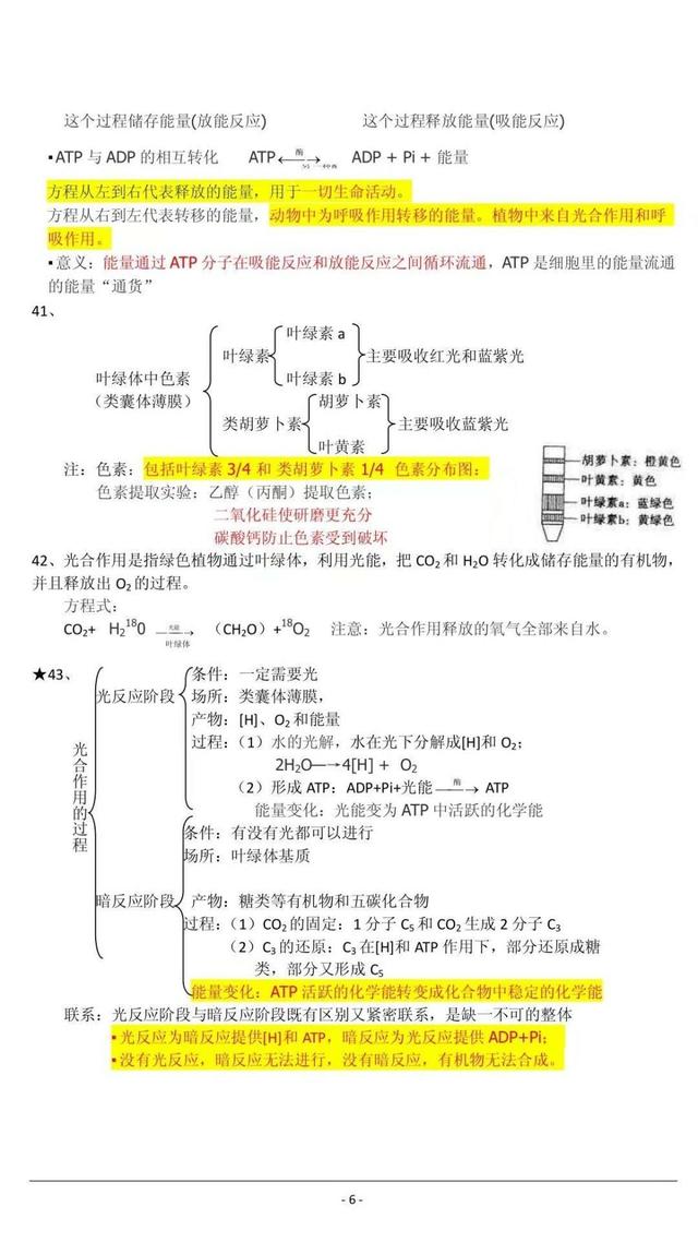 高中生物学霸笔记，期末必备