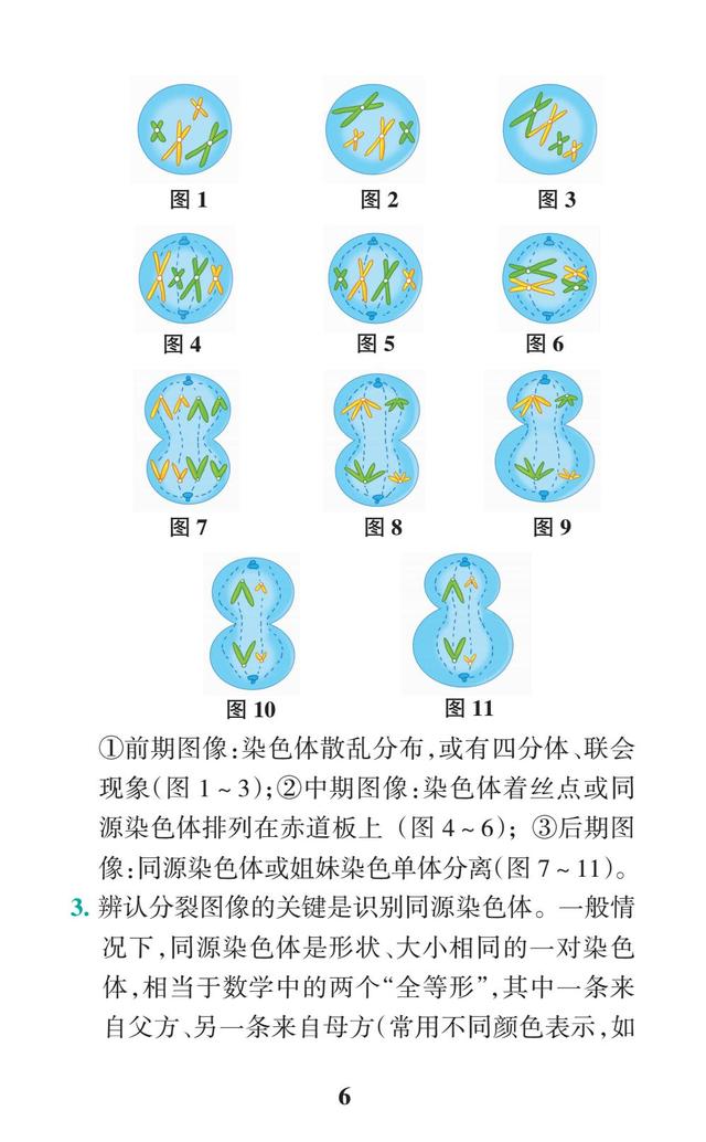 2018高考生物一轮复习：高考重点题型解题必备（背熟，拿高分）