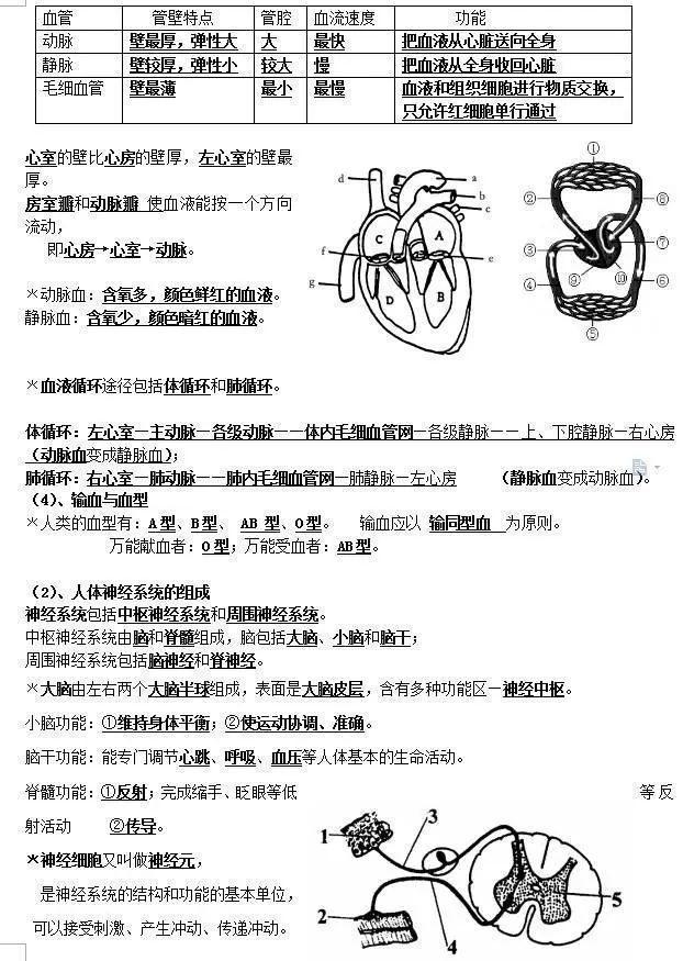 衡中老教师整理：初中生物会考考点汇总，打印背会，名校随便上