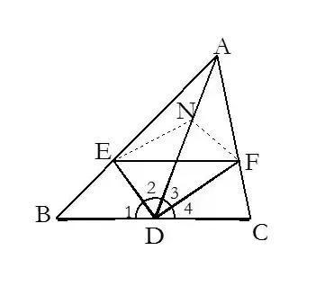 数学老师倾囊相授：初中三角形知识，“吃透”考试满分易如反掌