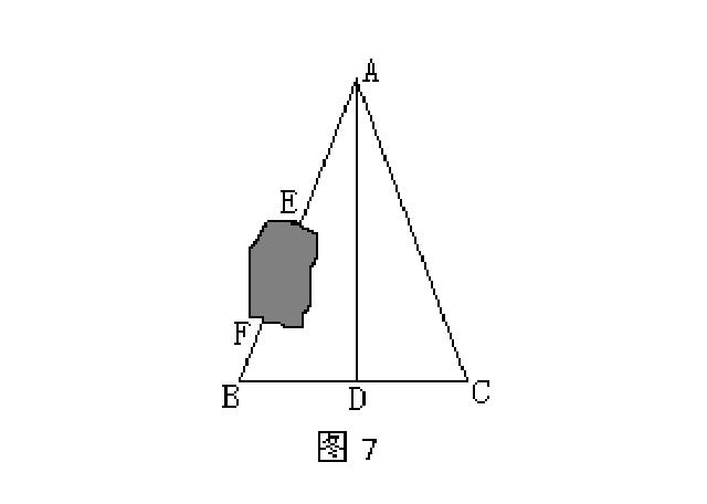 初中数学：三角形易错点突破和重难点解析