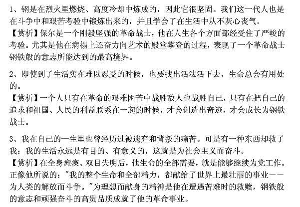 《钢铁是怎样炼成的》经典语句赏析与摘抄