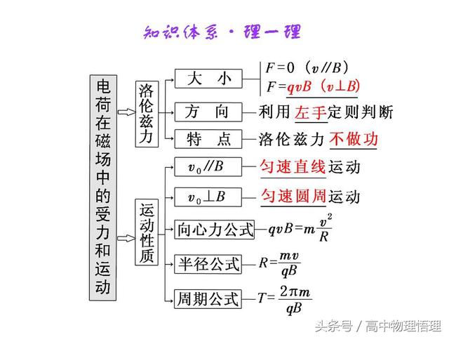 磁场对运动电荷的作用