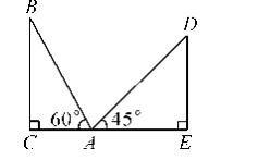八年级数学北师大版上册期中检测试卷（含答案解析）