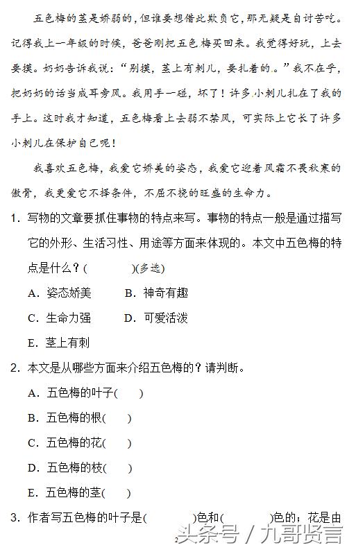 人教部编版三年级上语文试题习作：我们眼中的缤纷世界（含答案）