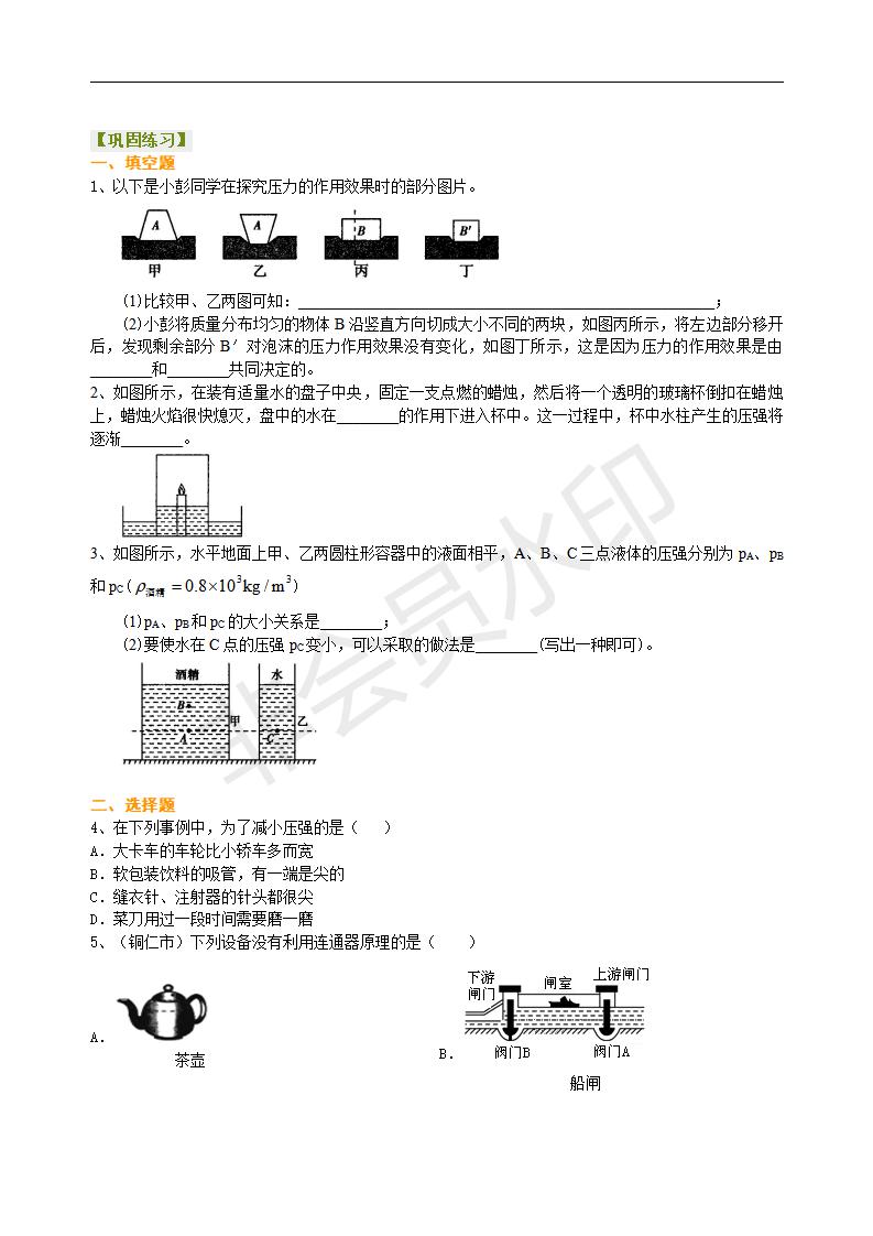 中考物理总复习：压力 压强（提高）巩固练习