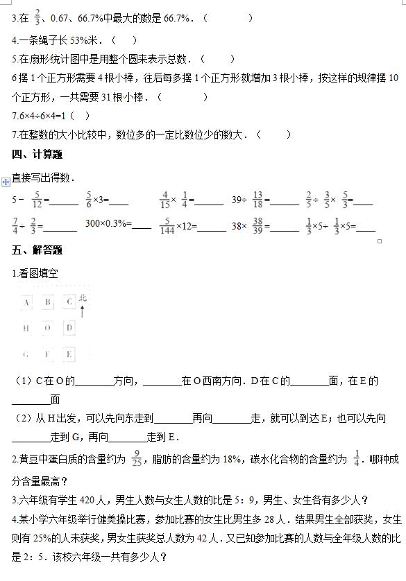 小学六年级数学上册——备战期末暨考点分析