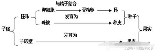 你们要的干货：七年级生物上册知识汇总