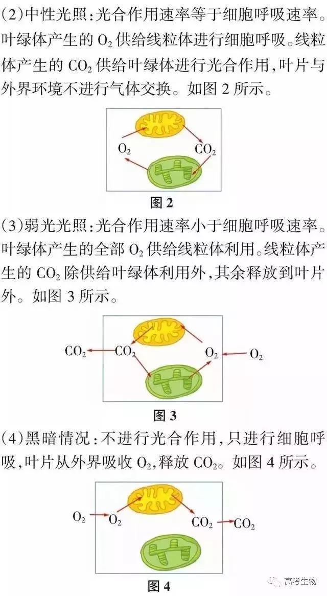 备考指南｜搞懂这9个题型，生物高分妥妥的！