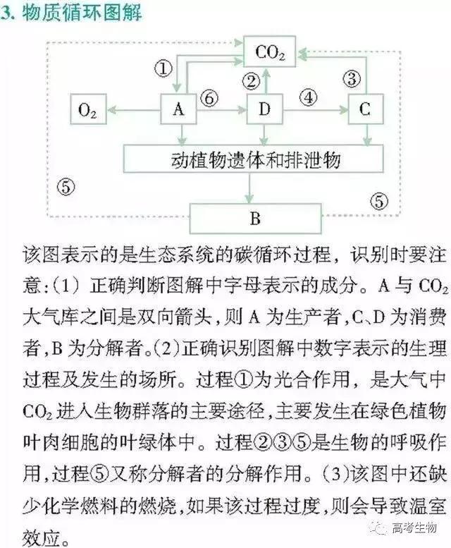 备考指南｜搞懂这9个题型，生物高分妥妥的！